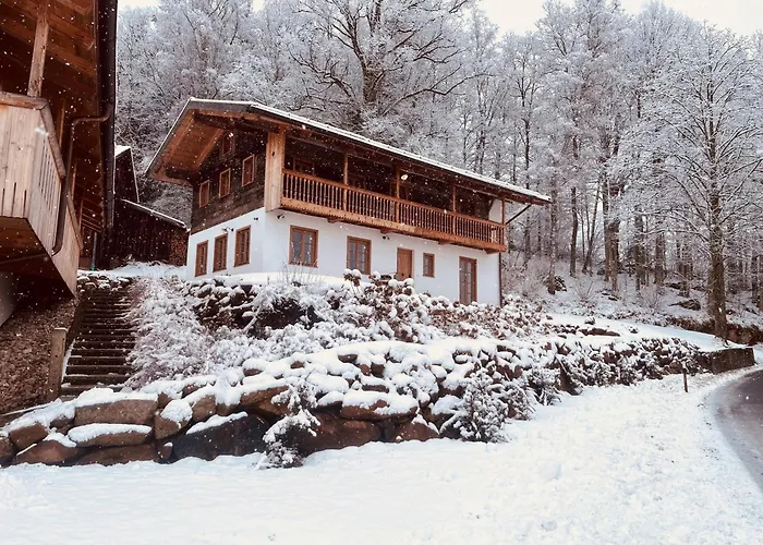 Traumhaftes Mit Sauna Und Whirlpool Refugium Am Rehberg * Drachselsried